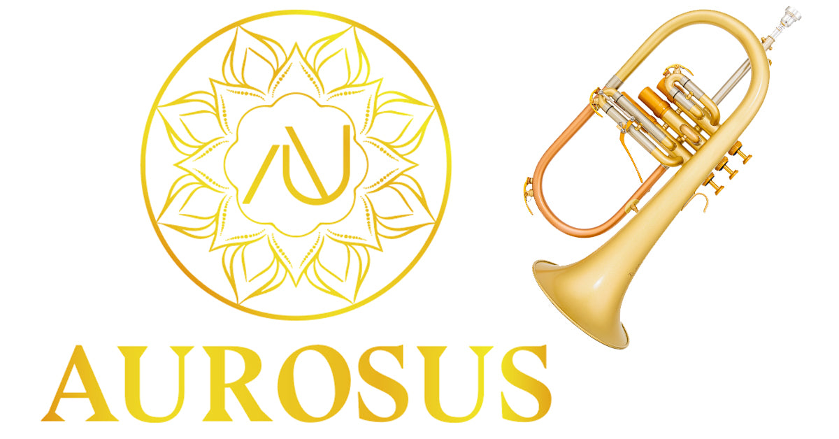 Second-hand Musical Instruments Get it now - AUROSUS– AUROSUS