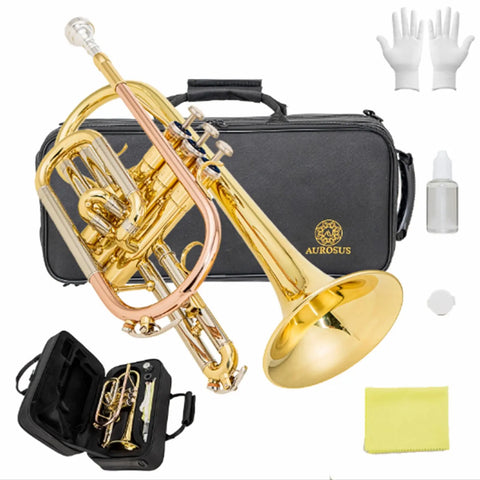 ACR 8330 Bb Cornet - Gold Brass Lacquered Finish, Stainless Steel Valves AUROSUS