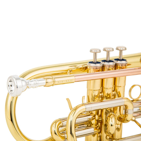 ACR 8330 Bb Cornet - Gold Brass Lacquered Finish, Stainless Steel Valves AUROSUS