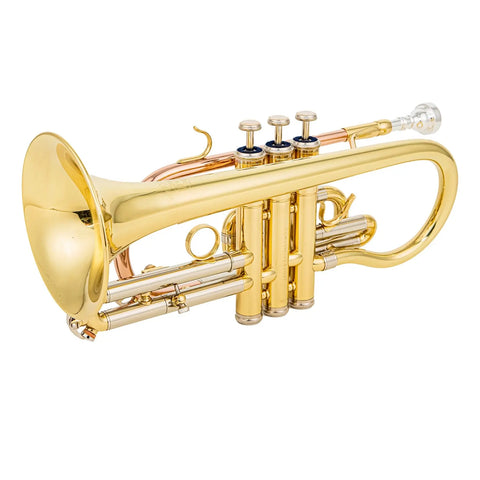 ACR 8330 Bb Cornet - Gold Brass Lacquered Finish, Stainless Steel Valves AUROSUS