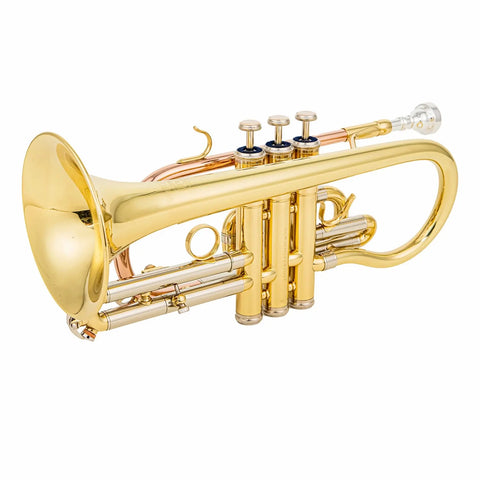 ACR 8330 Bb Cornet - Gold Brass Lacquered Finish, Stainless Steel Valves AUROSUS