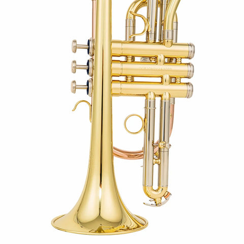 ACR 8330 Bb Cornet - Gold Brass Lacquered Finish, Stainless Steel Valves AUROSUS