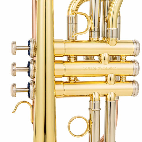 ACR 8330 Bb Cornet - Gold Brass Lacquered Finish, Stainless Steel Valves AUROSUS