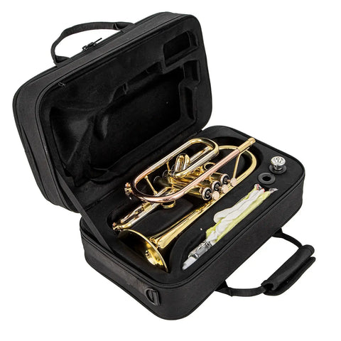 ACR 8330 Bb Cornet - Gold Brass Lacquered Finish, Stainless Steel Valves AUROSUS