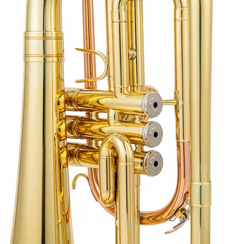 AUROSUS JMG-600 Marching Mellophone | F Key Brass for Advanced Beginners & High School | Phosphor Copper Leadpipe & Gold Lacquer Finish | Includes Mouthpiece & Case AUROSUS