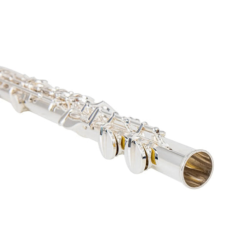 AUROSUS MAS-22 Silver Plated Alto Flute Professional Grade Dual Headjoints (Straight & Curved)  Concert-Ready Instrument with Care Kit Beginner to Pro Level AUROSUS Musical Instrument Store