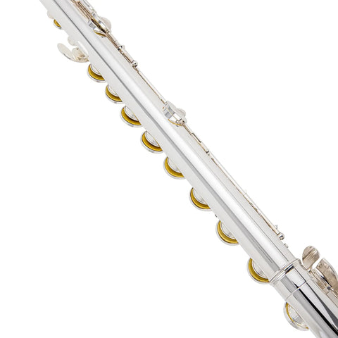 AUROSUS MAS-22 Silver Plated Alto Flute Professional Grade Dual Headjoints (Straight & Curved)  Concert-Ready Instrument with Care Kit Beginner to Pro Level AUROSUS Musical Instrument Store