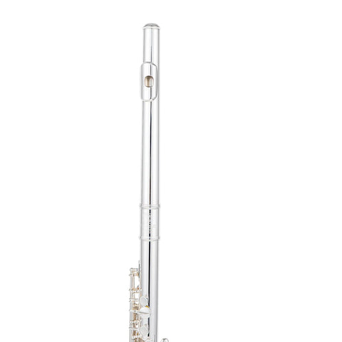 AUROSUS MAS-22 Silver Plated Alto Flute | Professional Grade Dual Headjoints (Straight & Curved) | Concert-Ready Instrument with Care Kit | Beginner to Pro Level" AUROSUS Musical Instrument Store