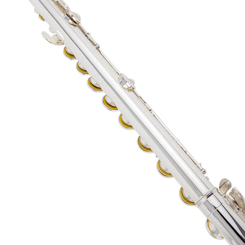 AUROSUS MAS-22 Silver Plated Alto Flute | Professional Grade Dual Headjoints (Straight & Curved) | Concert-Ready Instrument with Care Kit | Beginner to Pro Level" AUROSUS Musical Instrument Store