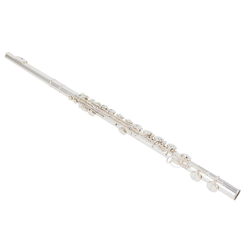 AUROSUS MAS-22 Silver Plated Alto Flute | Professional Grade Dual Headjoints (Straight & Curved) | Concert-Ready Instrument with Care Kit | Beginner to Pro Level" AUROSUS Musical Instrument Store