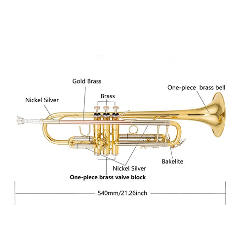 AUROSUS SB710 Bb Trumpet  .459" Bore Yellow Brass Bell Stainless Steel Pistons AUROSUS