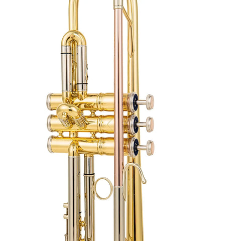 AUROSUS SB710 Bb Trumpet  .459" Bore Yellow Brass Bell Stainless Steel Pistons AUROSUS