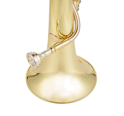 Altohorn 3 piston valves Eb brass alotohorn &amp; baritone BH-401L