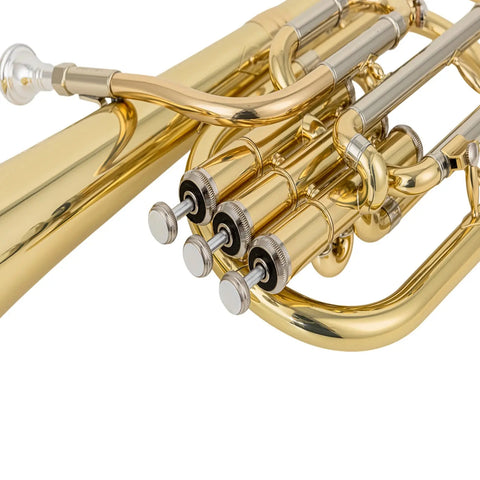 Aurosus ASH-501L Alto Horn 0.462" Bore Lacquer Gold Brass 37C Mouthpiece Case AUROSUS