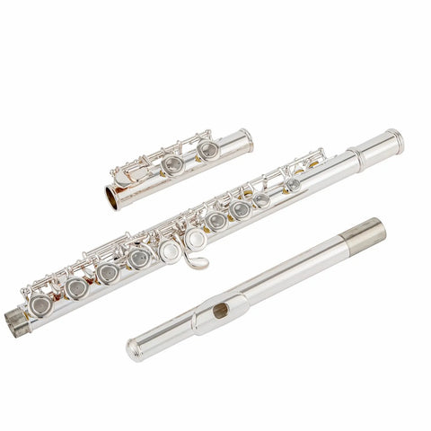 Aurosus MSC-6 Silver Flute - 16 Keys C Flute for Beginners, Kids & Students AUROSUS