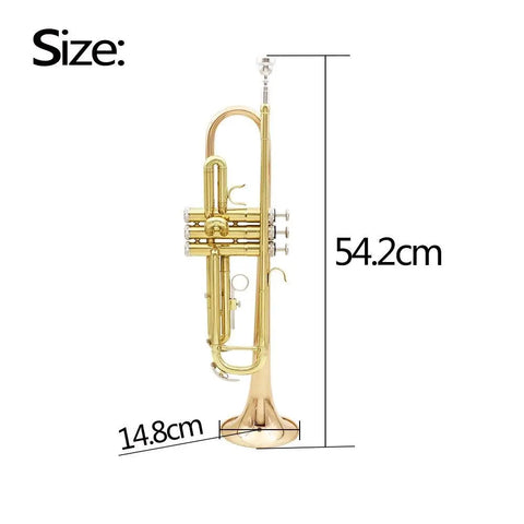Bb Trumpet Gold silver plated two-color musical instrument
