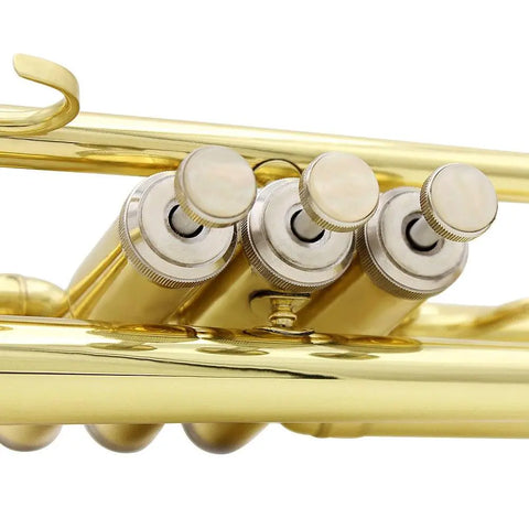 Bb Trumpet Gold silver plated two-color musical instrument