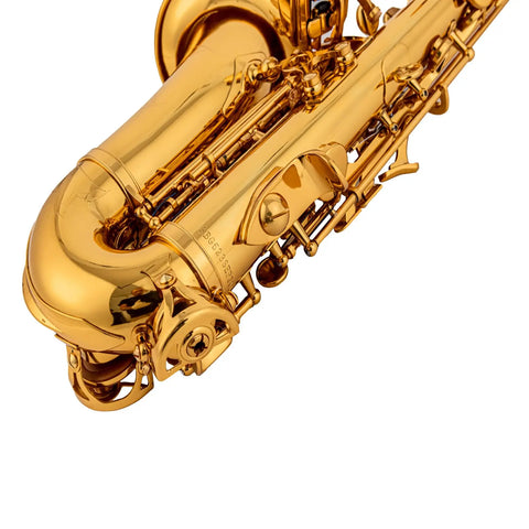 Curved soprano saxophone AUROSUS Musical Instrument Store