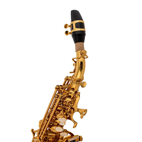 Curved soprano saxophone AUROSUS Musical Instrument Store
