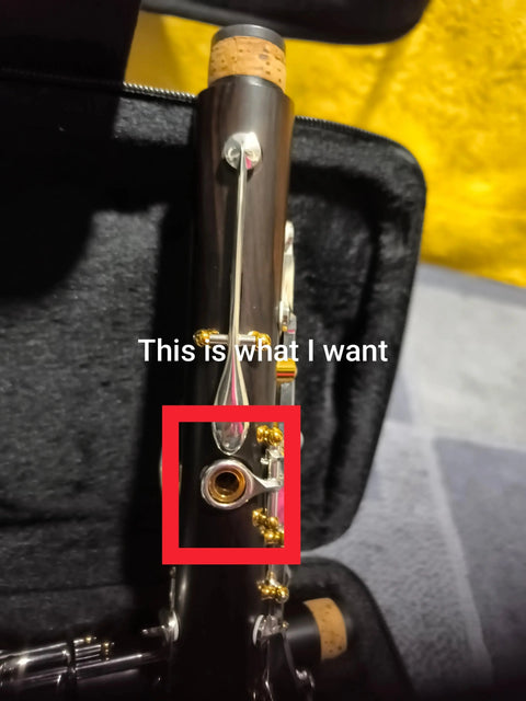 Custom Bb Clarinet - Grenadilla Wood, Closed Hole AUROSUS