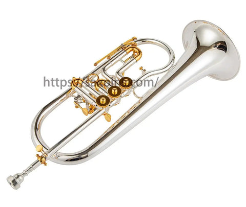 Flugelhorn with rotry valves Bb gold brass bell silvering Professional brass instrument - AUROSUS  Musical Instrument Store
