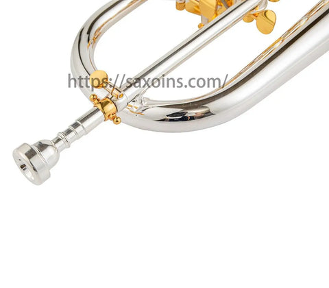 Flugelhorn with rotry valves Bb gold brass bell silvering Professional brass instrument - AUROSUS  Musical Instrument Store