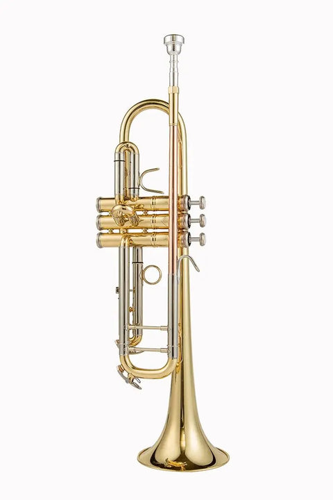 Gold Lacquer Yellow Brass Student Trumpet Bb Key Personalized customization BTR301 Student Premium Trumpet - AUROSUS  Musical Instrument Store