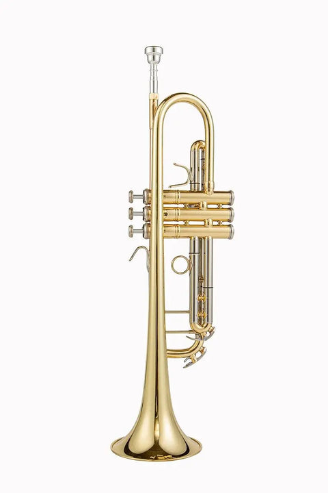 Gold Lacquer Yellow Brass Student Trumpet Bb Key Personalized customization BTR301 Student Premium Trumpet - AUROSUS  Musical Instrument Store