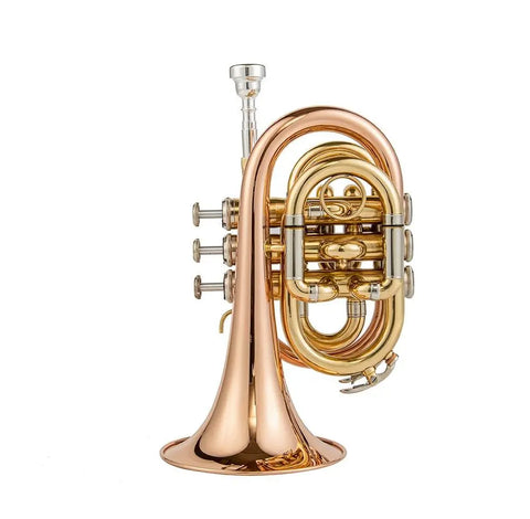 JTR710 Bb Pocket Trumpet with Valve Oil/ 7C Mouthpiece /Cleaning kit/Hard Case/Gloves/Gold Lacquer OEM musical instrument - AUROSUS  Musical Instrument Store