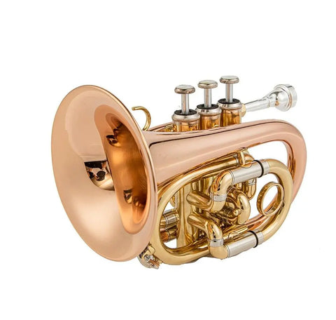 JTR710 Bb Pocket Trumpet with Valve Oil/ 7C Mouthpiece /Cleaning kit/Hard Case/Gloves/Gold Lacquer OEM musical instrument - AUROSUS  Musical Instrument Store