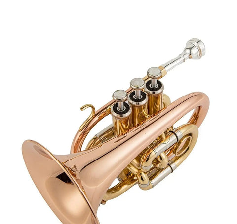 JTR710 Bb Pocket Trumpet with Valve Oil/ 7C Mouthpiece /Cleaning kit/Hard Case/Gloves/Gold Lacquer OEM musical instrument - AUROSUS  Musical Instrument Store