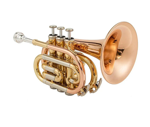 JTR710 Bb Pocket Trumpet with Valve Oil/ 7C Mouthpiece /Cleaning kit/Hard Case/Gloves/Gold Lacquer OEM musical instrument - AUROSUS  Musical Instrument Store