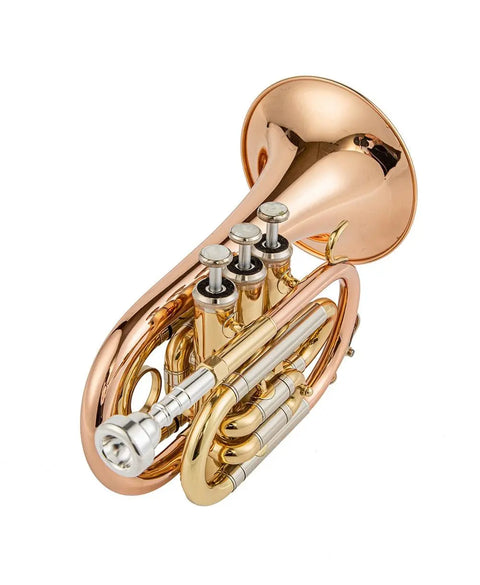 JTR710 Bb Pocket Trumpet with Valve Oil/ 7C Mouthpiece /Cleaning kit/Hard Case/Gloves/Gold Lacquer OEM musical instrument - AUROSUS  Musical Instrument Store