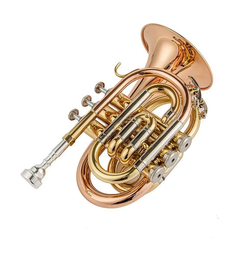 JTR710 Bb Pocket Trumpet with Valve Oil/ 7C Mouthpiece /Cleaning kit/Hard Case/Gloves/Gold Lacquer OEM musical instrument - AUROSUS  Musical Instrument Store