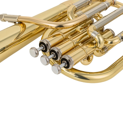 Pro-Grade Alto Horn Featuring Monel Pistons & Gold Brass Mouthpipe | 8″ Bell, Nickel Silver Slide, Lacquer Finish | Professional Brass Instrument AUROSUS