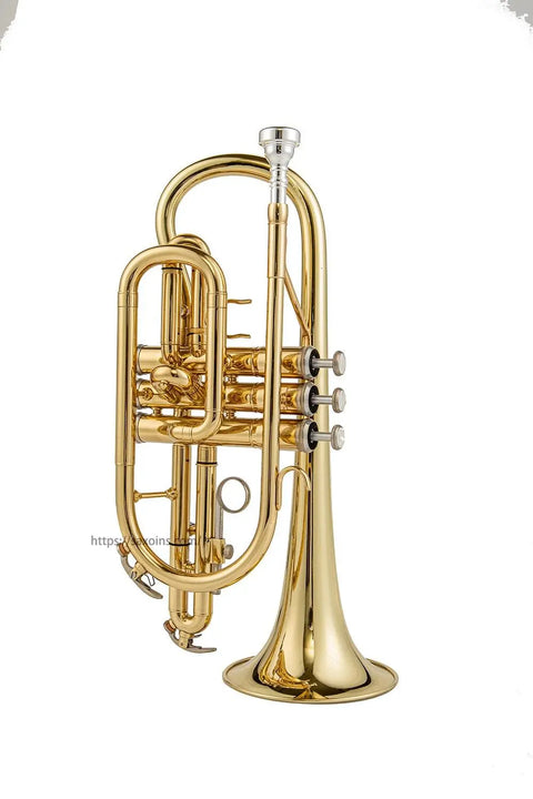 Professional cornet high-grade brass cornet silver wind instrument professional cornet gold - AUROSUS  Musical Instrument Store