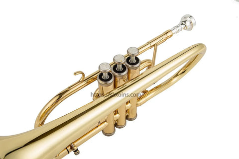 Professional cornet high-grade brass cornet silver wind instrument professional cornet gold - AUROSUS  Musical Instrument Store