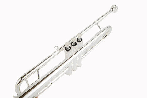Silvering Yellow Brass Bb Student Trumpet Bb with 7 C mouthpiece Case