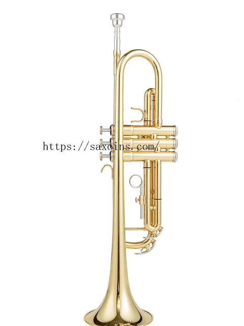 Student Bb Trumpet Lacquer brass Standard student gold silver two color choice Monel Pistons Lead Free Soldering - AUROSUS  Musical Instrument Store