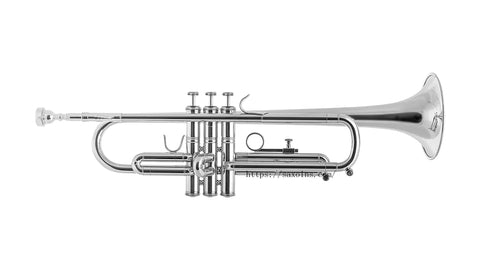 Student Bb Trumpet Lacquer brass Standard student gold silver two color choice Monel Pistons Lead Free Soldering - AUROSUS  Musical Instrument Store