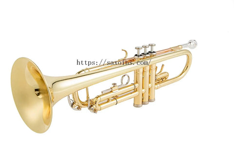 Student Bb Trumpet Lacquer brass Standard student gold silver two color choice Monel Pistons Lead Free Soldering - AUROSUS  Musical Instrument Store