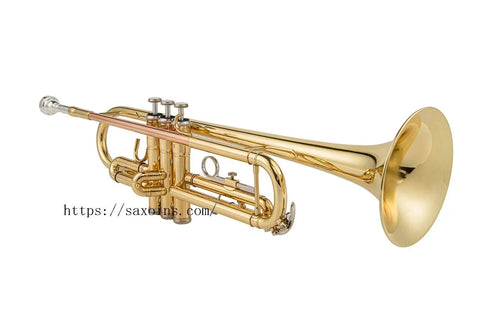 Student Bb Trumpet Lacquer brass Standard student gold silver two color choice Monel Pistons Lead Free Soldering - AUROSUS  Musical Instrument Store