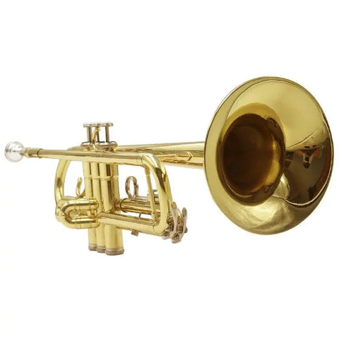Student Bb Trumpet gold Lacquer brass Beginners instruments trumpet mouthpiece trumpet cleaning kit and Case - AUROSUS  Musical Instrument Store