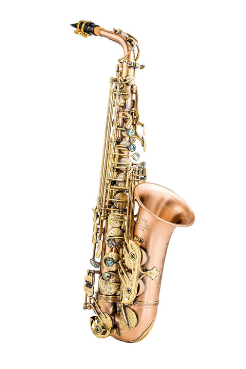 Student Yellow Brass Body Eb High F# Alto Saxophone With Case