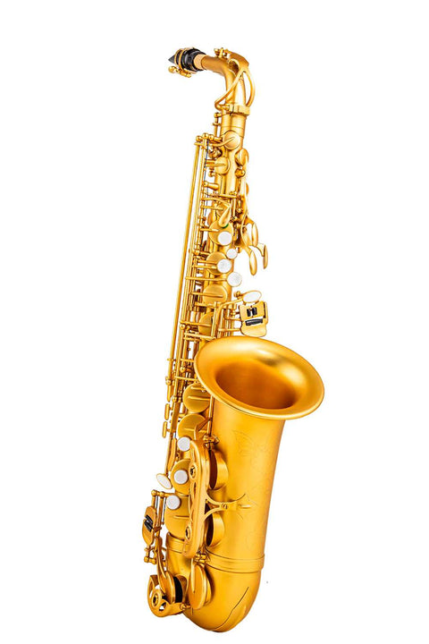 Student Yellow Brass Body Eb High F# Alto Saxophone With Case