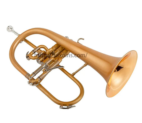 Trigger Flugelhorn Bb Yellow Brass Bell dull polished Professional brass instrument FH600 183G flugelhorn - AUROSUS  Musical Instrument Store