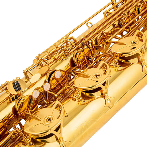 •	AUROSUS BSA-G6 Baritone Saxophone Low Bb - High F# Gold LacquerBrass  Roller case, for students and beginners Saxophone