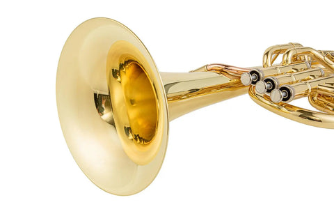 Yellow Brass Altohorn 3 piston valves Eb alto horn