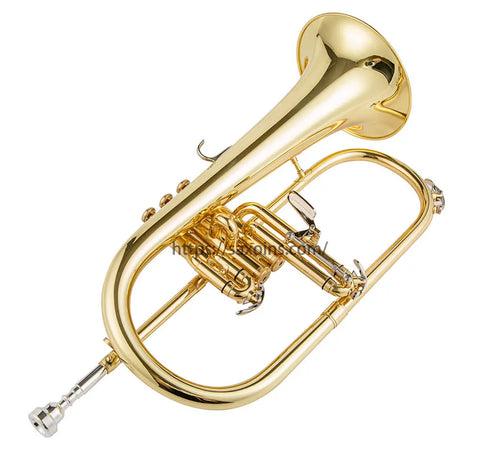 professional Bb Trigger Flugelhorns Aurosus is professional online discount store for musical instruments.