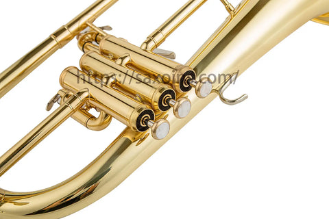 professional Bb Trigger Flugelhorns Aurosus is professional online discount store for musical instruments.